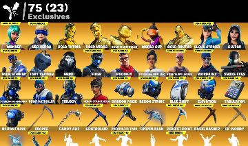 Conta de Fortnite com Wonder + Neo Versa + 290 skins + 3450 VBucks + STW OG