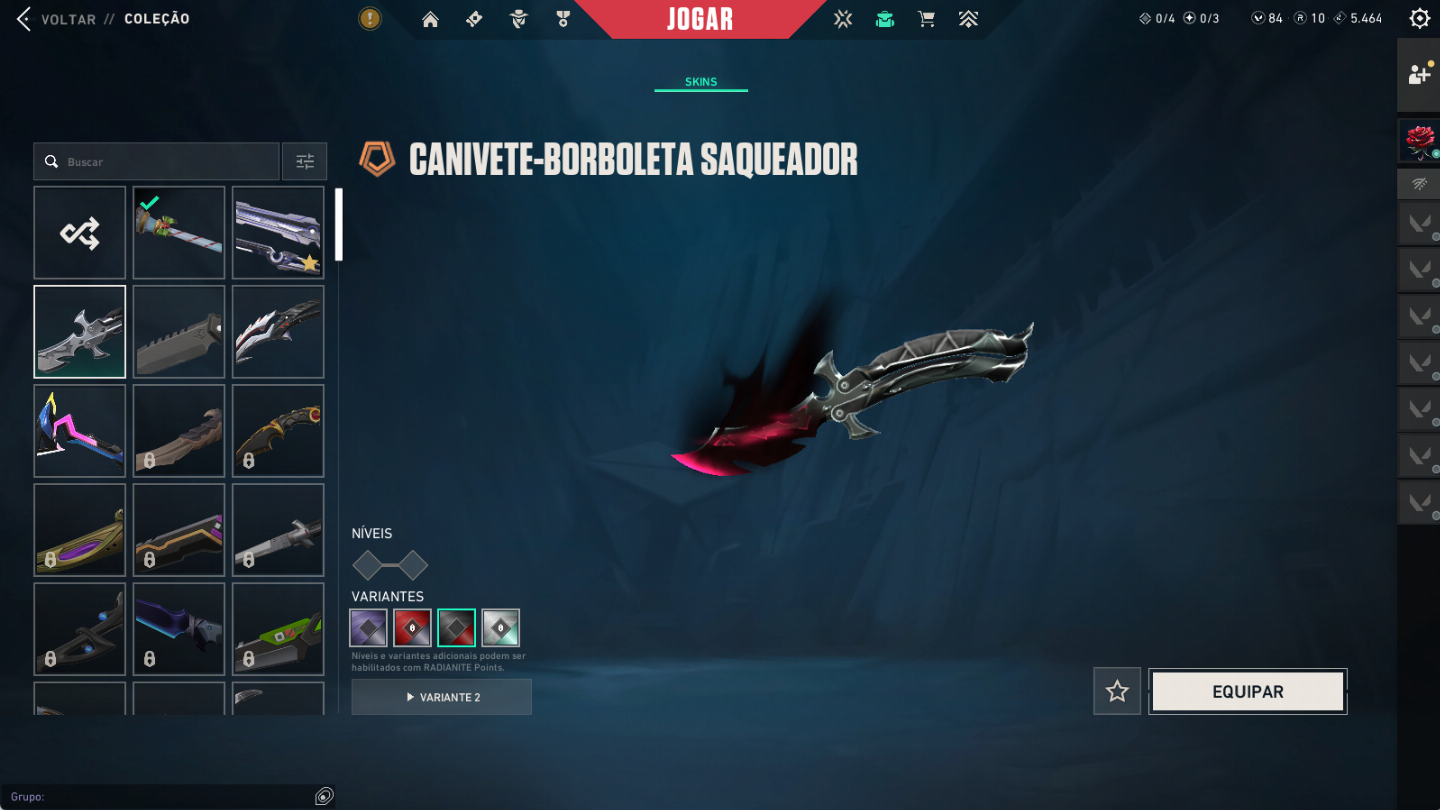 Conta Valorant Completa + Saqueador 2.0 Full