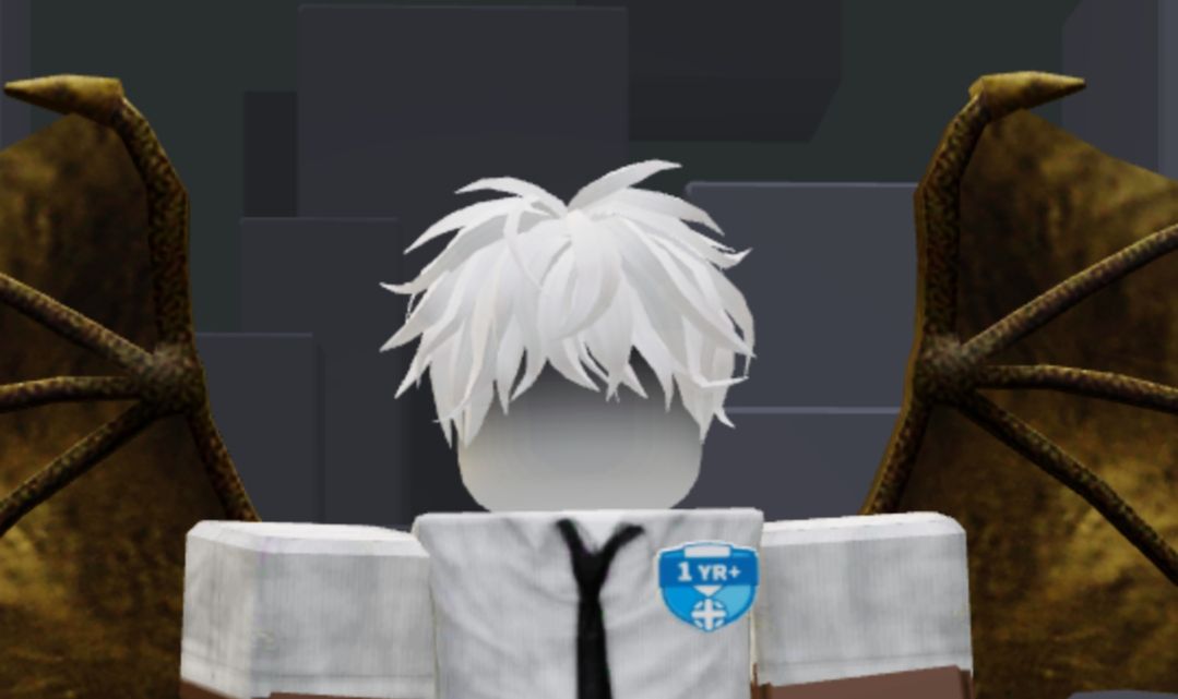 Conta de Roblox upada em evomon anime figter blox fruits e muitos outros jogos