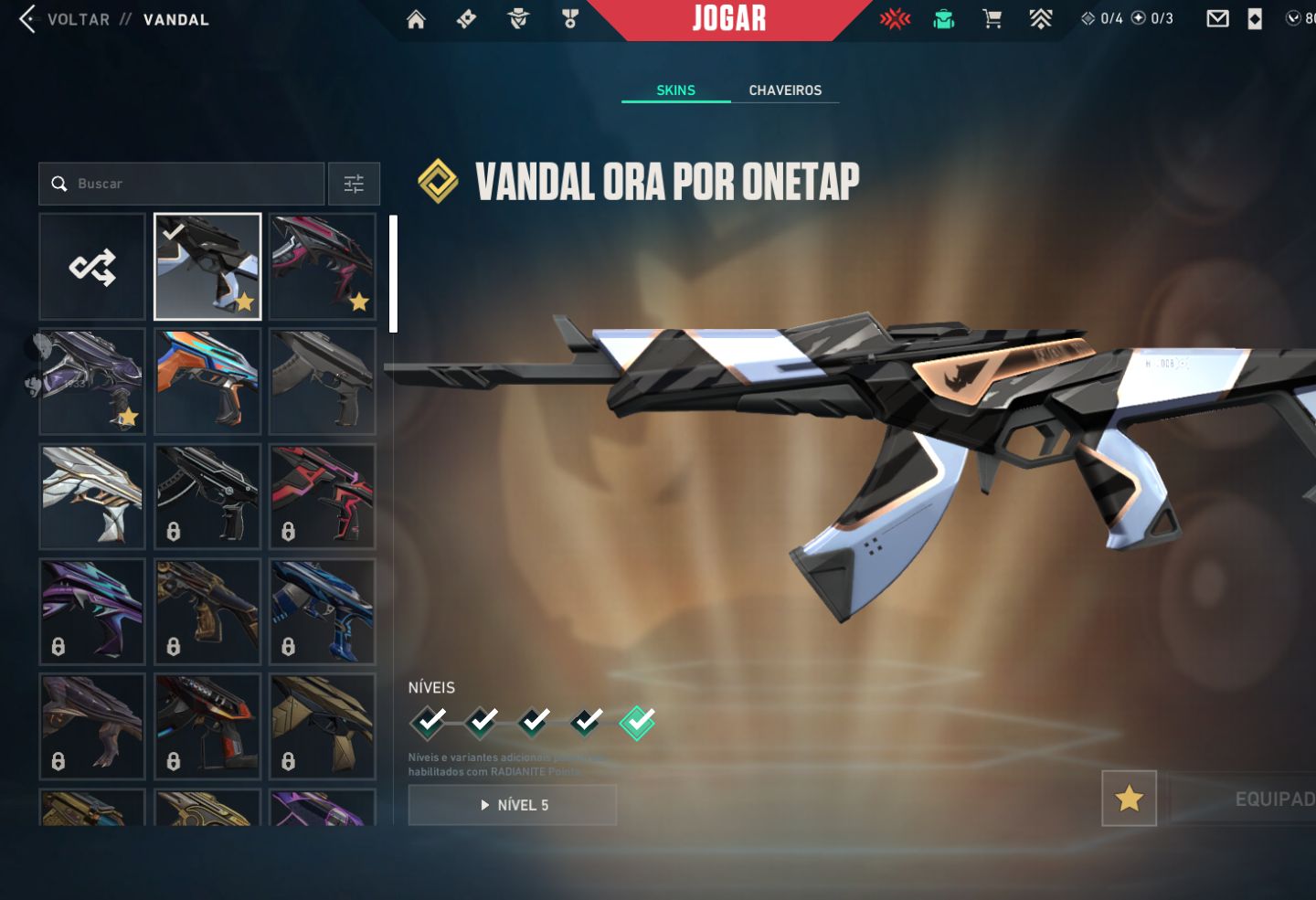 CONTA VALORANT MUITAS SKINS 1k gasto