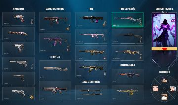 Conta rara de valorant com skins + vandal champions 2021