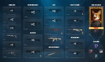 CONTA COM VARIAS SKINS!!!