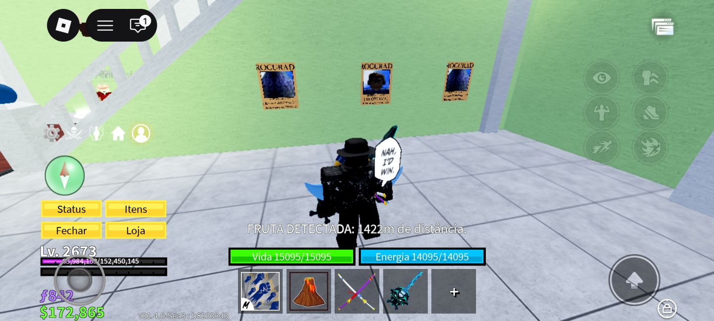 Conta Roblox Top , Skins , Blox Fruits , Grow a Garden 1 e 2 bem focados
