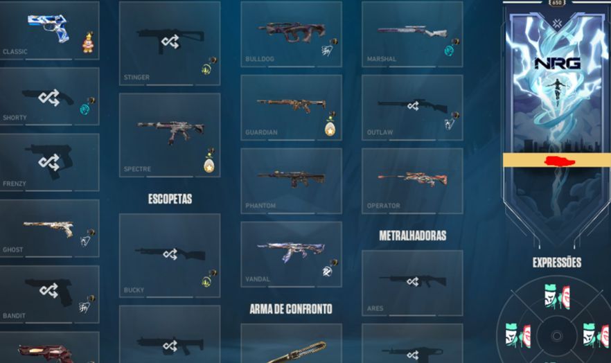 Conta ex radiante com pacote champions 24 e 25 e vandal champions 23