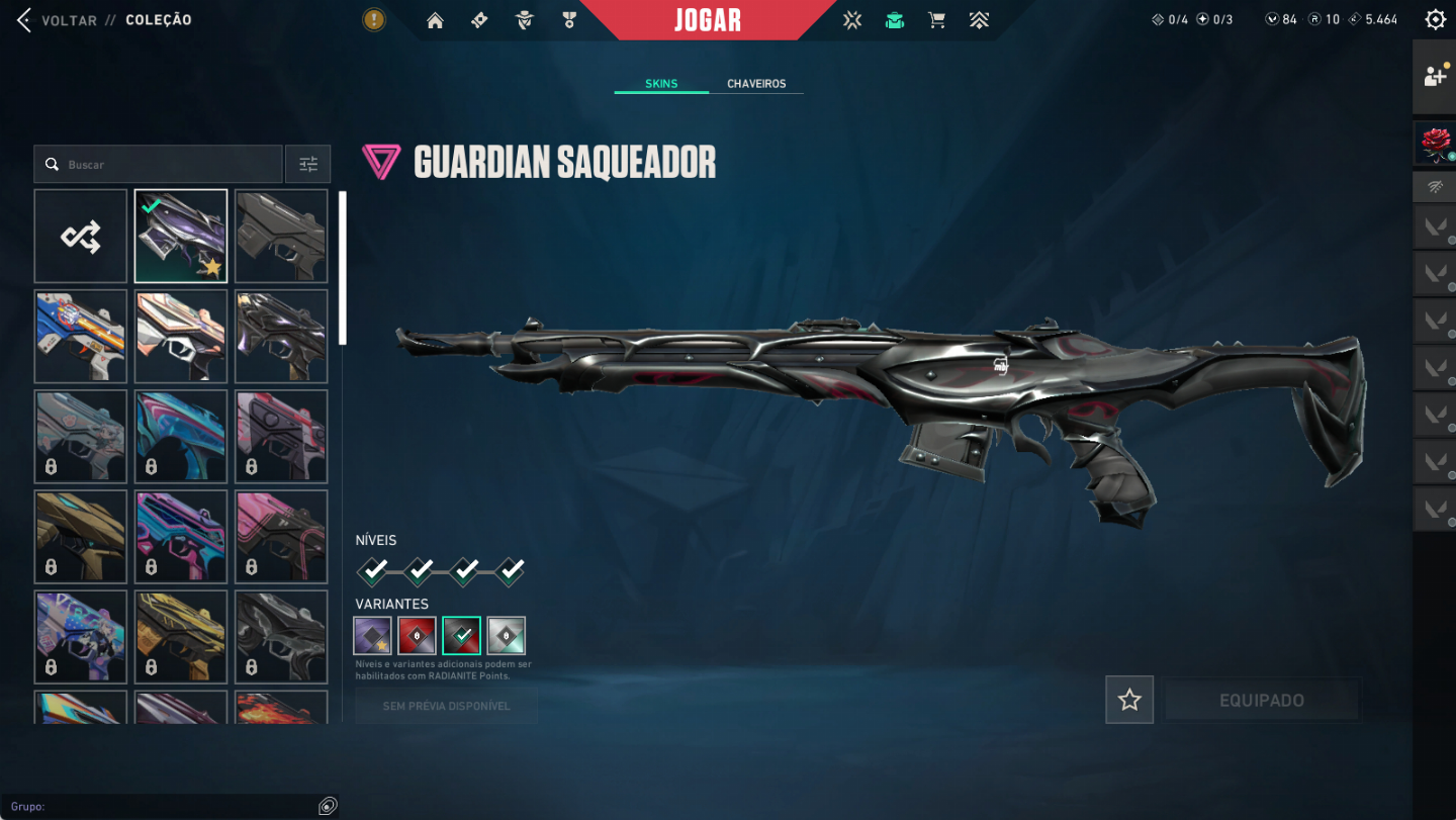Conta Valorant Completa + Saqueador 2.0 Full