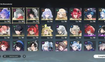 Wuthering Waves UL 80 personagens com assinatura