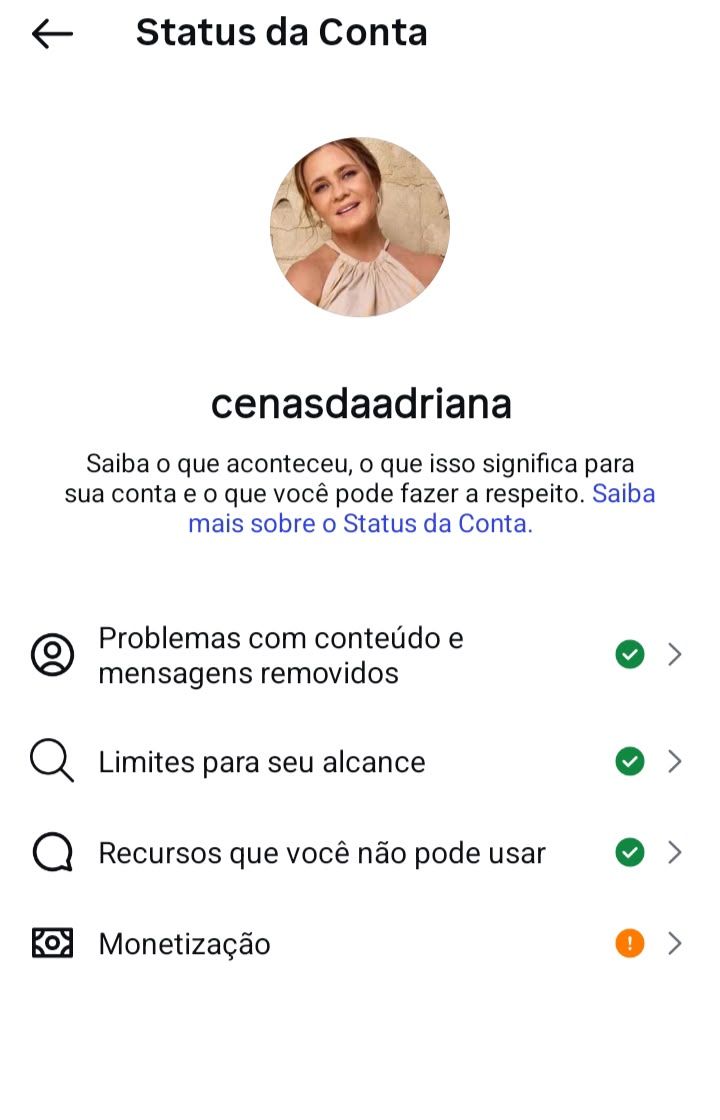 Conta de Instagram Cenas da Adriana | 820 Seguidores | Alto Engajamento |