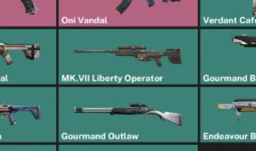 Contas valorant skins raras de armas e outras FULL ACESSO ENTREGA GARANTIDA