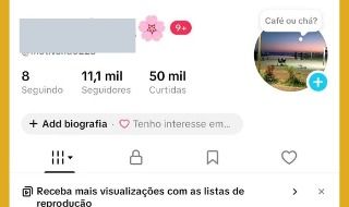 TikTok Monetizado BR | Seguidores Orgânicos | TIKTOK