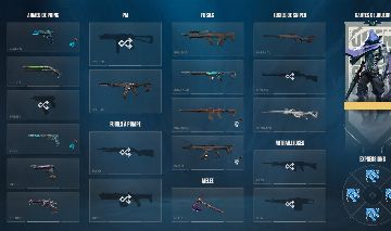 CONTA VALORANT FULL ACESSO| champions 23 24 e muitas skins