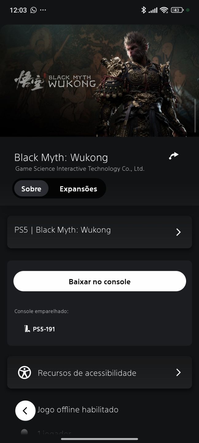 CONTA COM BLACK MYTH WUKONG (PS5)