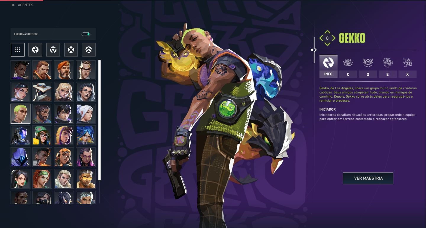 VALORANT RARA À VENDA! Skins + Agentes Desbloqueados