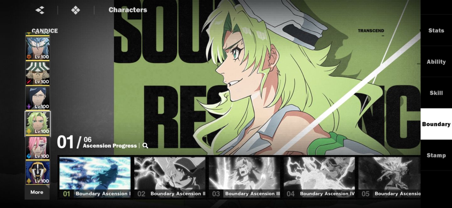 Bleach soul resonance conta end game