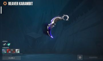 MELHORES SKINS DE VANDAL E PHANTOM, 1700 REAIS GASTOS, SEGURANÇA TOTAL
