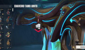 CHAVEIRO RIOT + SKINS
