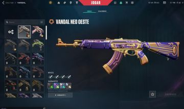 Conta de valorant, com vandal renegada, vandal faroeste e +