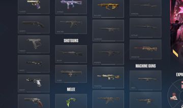 Conta valorant cheia de skin