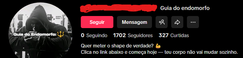 Comprar Seguidores Brasileiros para TikTok | Qualidade HQ | Reposição 30 Dias