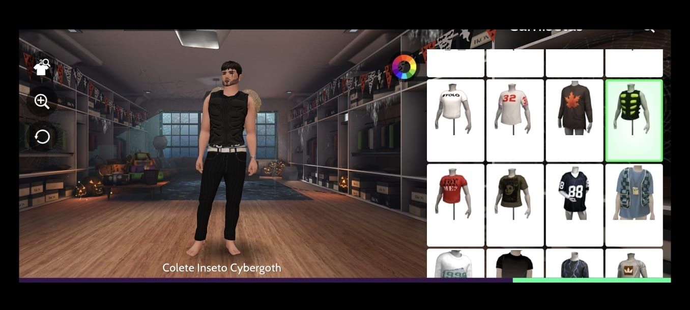 CONTA AVAKIN LIFE LVL 45 - 4 ANOS NO JOGO - 24 casas - 1599 roupas - 23 pets -