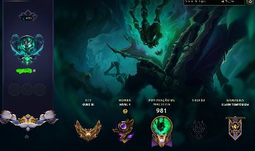 CONTA 2013 MAIN SUP, 404 SKINS MONO THRESH600K