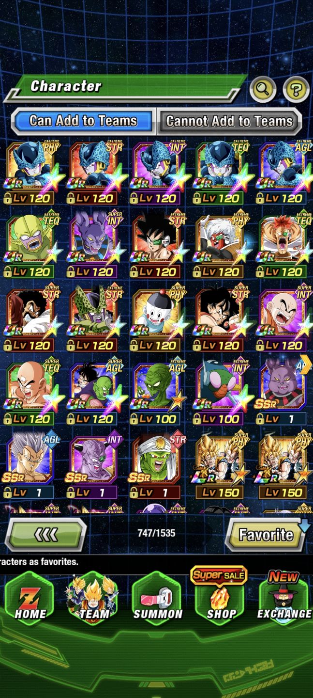 END GAME DOKKAN + 6K STONES