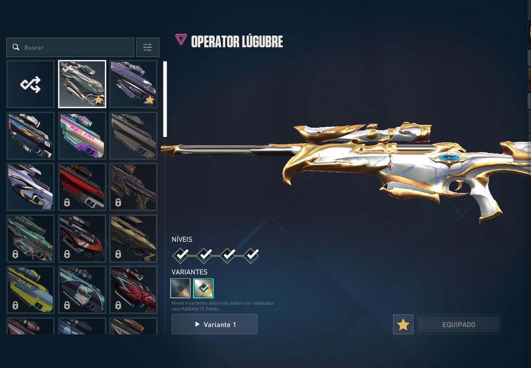 VALORANT | SKINS VARIADAS | PRONTA PARA JOGAR