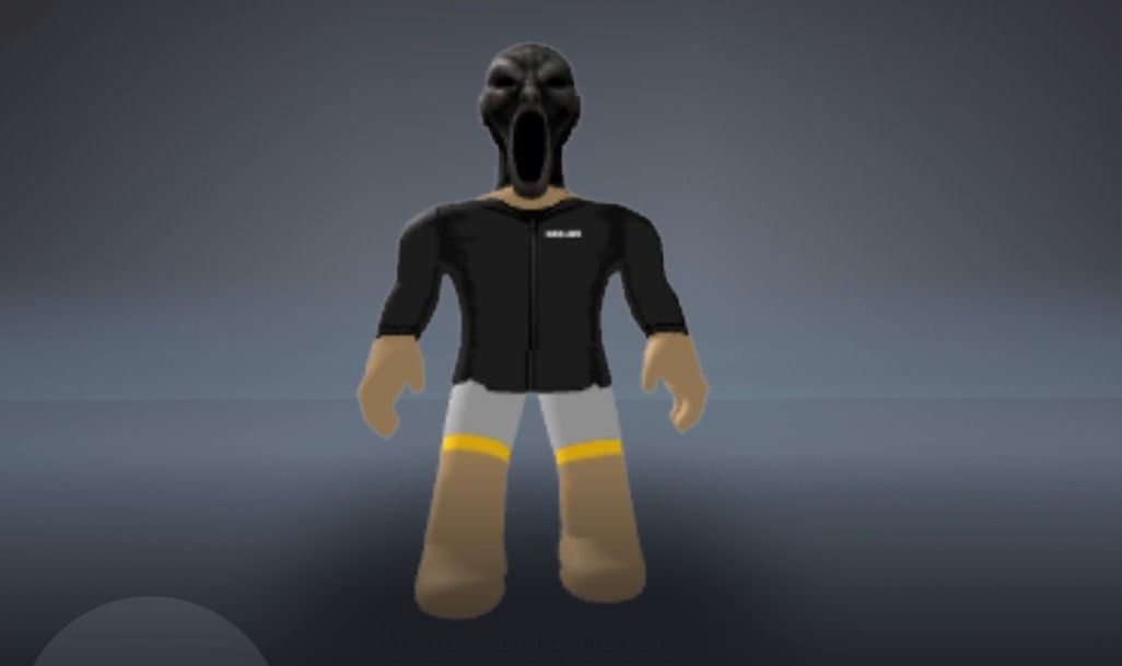 CONTA DE ROBLOX COM DIVERSOS AVATARES + BLOX FRUITS