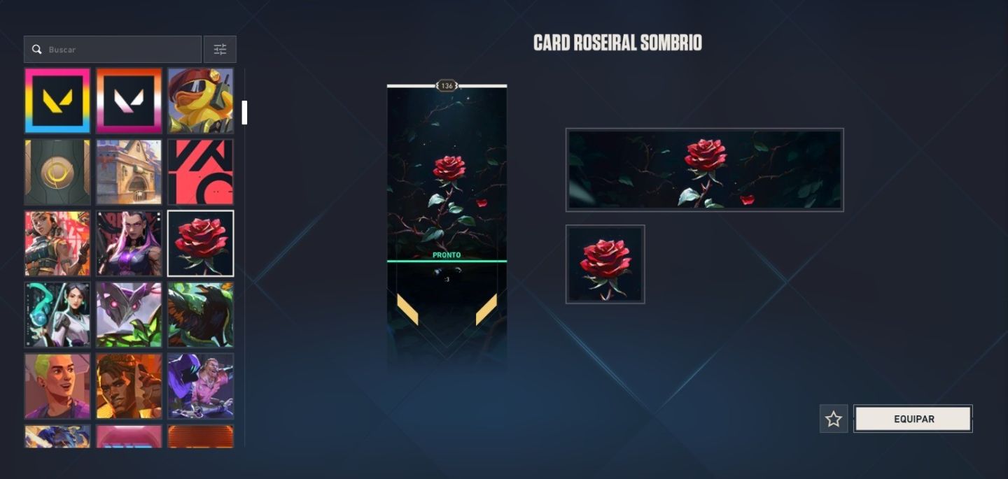 Plat 2 Com Varias Skins