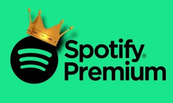 SERVIÇOS SPOTIFY PREMIUM INDIVIDUAL!