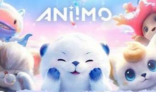 Serviços aniimo 1.1
