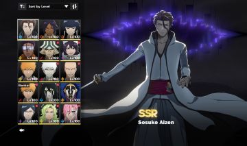 Bleach soul ressonance end game