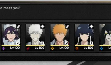 Bleach soul resonance conta end game