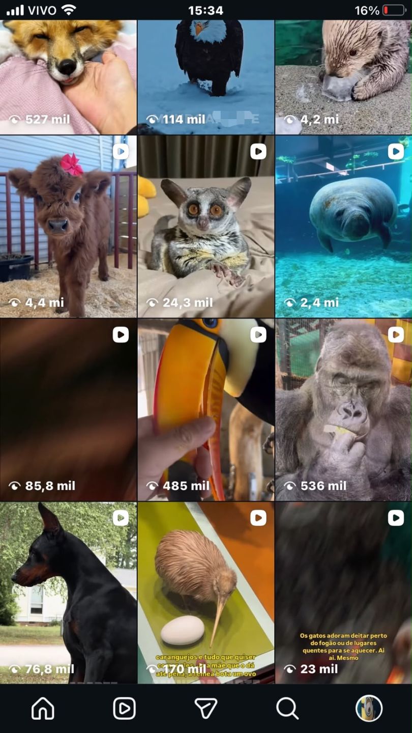 CONTA INSTAGRAM COM 24,2 MIL SEGUIDORES | IP BRASILEIRO