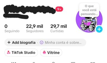 CONTA TIK TOK 22.9OO SEGUIDORES REAIS BR (QUALIDADE+SUPORTE NA ENTREGA 24horas)