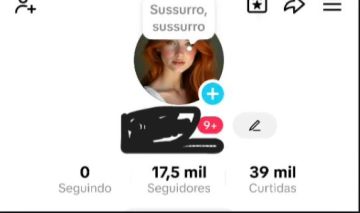 CONTA 17K DE SEGUIDORES REAIS ALTA QUALIDADE E ENGAJAMENTO (+GARANTIA+PROMOÇÃO )
