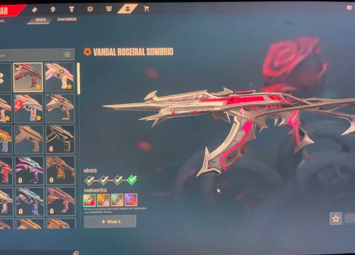 CONTA VALORANT MUITAS SKINS