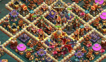 CV16 Full