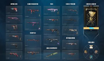 CONTA VALORANT BUNDLE CHAMPIONS 2022 E RGX BUTTERFLY