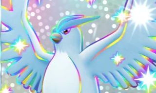 SHINY ARTICUNO EX - EEVEE GROVE