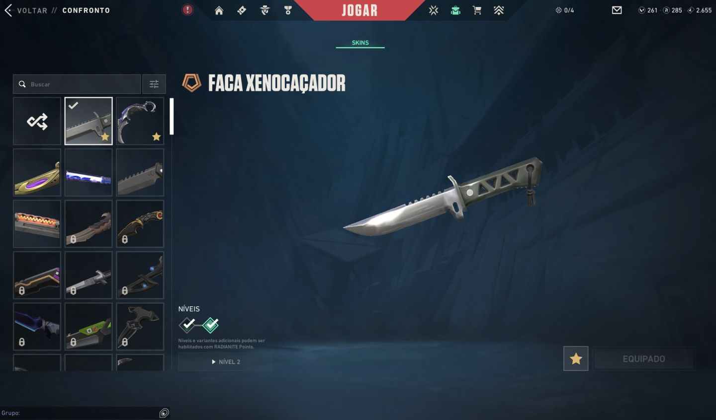 Conta Valorant, mais de 1000 reais gastos, Vandal Gaia,pingente radiante ato v25