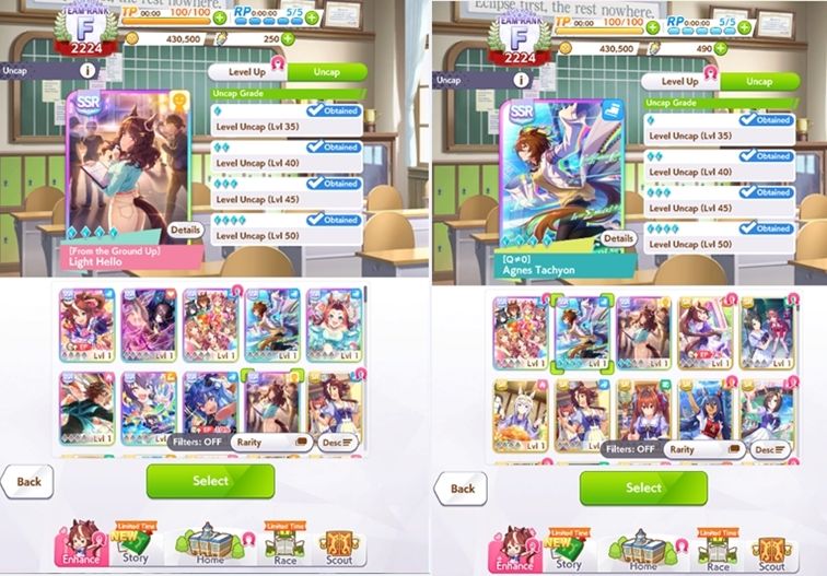 UMA MUSUME CONTAS COM CARTAS - TACHYON, KITASAN, LIGHT HELLO.