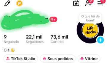 CONTA TIK TOK 22.OOO SEGUIDORES REAIS BRASILEIROS (PRONTA PARA VOCE USAR )