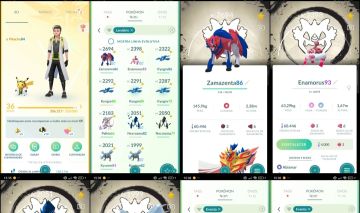 Lv. 36/37 | Necrozma Shiny Fundo Especial | Zamazenta Fundo Q318