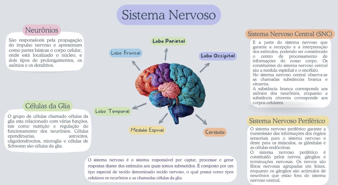 [PROMOÇÃO] CURRÍCULO | TCC | SLIDES | REDAÇÃO | TRABALHOS ACADÊMICOS E ESCOLARES