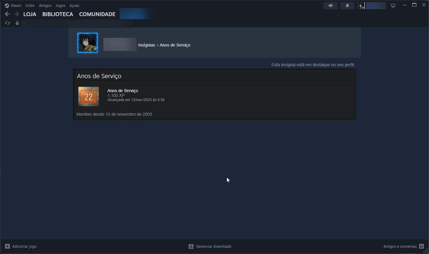 CONTA STEAM 22 ANOS DE SERVIÇO COM MEDALHA DE 10 E 5 ANOS NO CS GO E PRIME