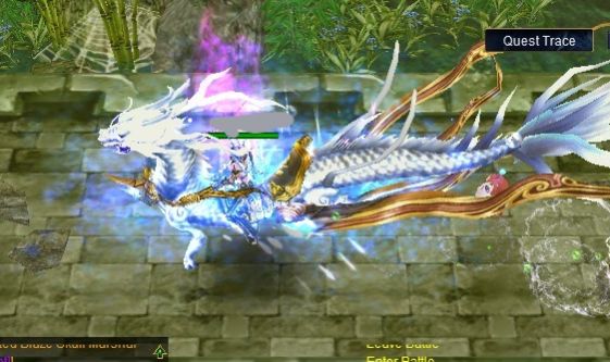 Tamer Full DR PvE +12