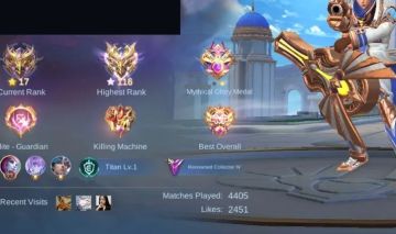 217 SKINS - FULL EMBLEMAS - FULL HEROIS