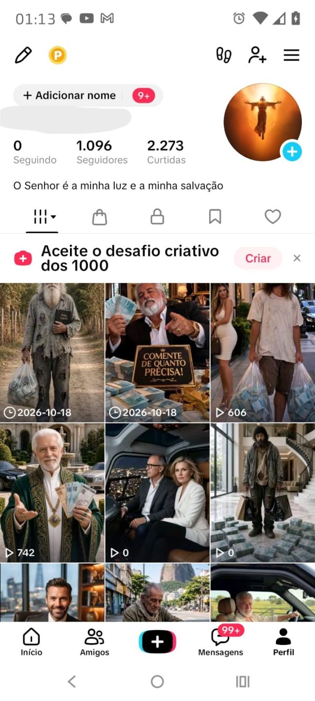 CONTA TIKTOK 1,0K SEGUIDORES, SHOP APROVADO | NICHO PROSPERIDADE | SEM DOC