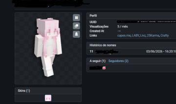 Minecraft Java & Bedrock Full acesso