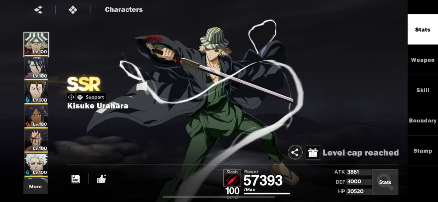CONTA BLEACH: SOUL RESONANCE LV. 80 MAX | CONTA AVANÇADA